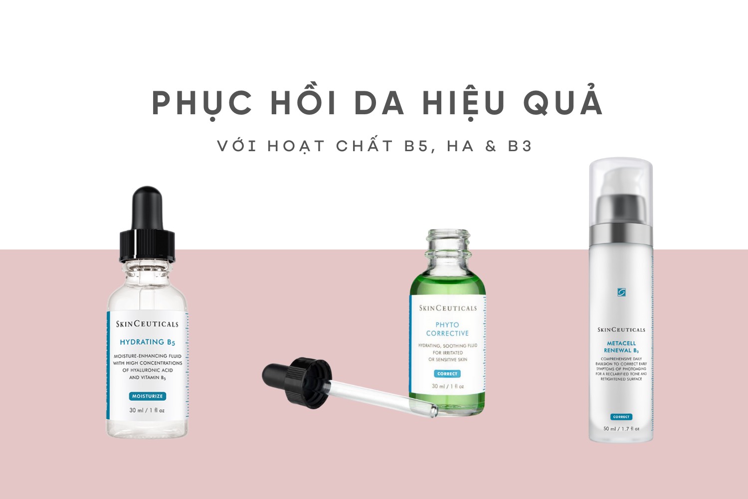 TỔNG HỢP CÁC THÀNH PHẦN GIÚP PHỤC HỒI DA TỔN THƯƠNG